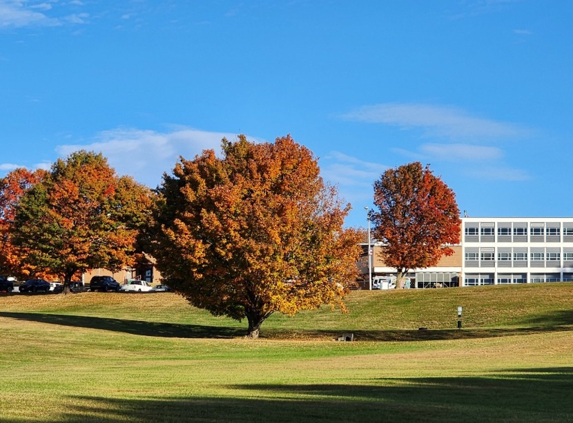 WCC will close at noon on Wednesday, Nov. 27, and reopen on Monday, Dec. 2. 

Happy Thanksgiving!